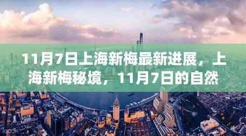 上海新梅秘境,心灵港湾的自然探索之旅(11月7日最新进展)