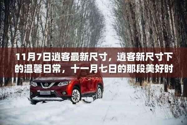 11月7日逍客新尺寸揭秘,温馨日常与美好时光