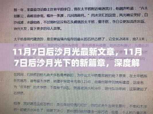 沙月光下的新篇章,深度解读其最新文章