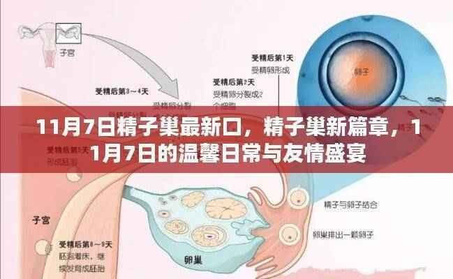 11月7日精子巢新篇章,温馨日常与友情盛宴的见证