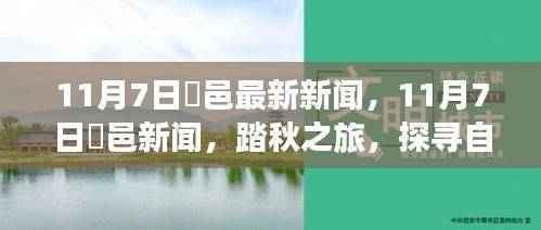 11月7日鄠邑新闻,踏秋之旅,探寻自然美景的心灵慰藉之旅