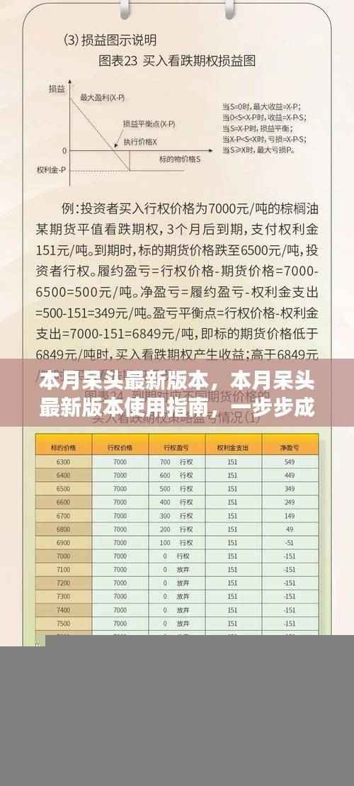 本月呆头最新版本使用指南,一步步成为高手攻略