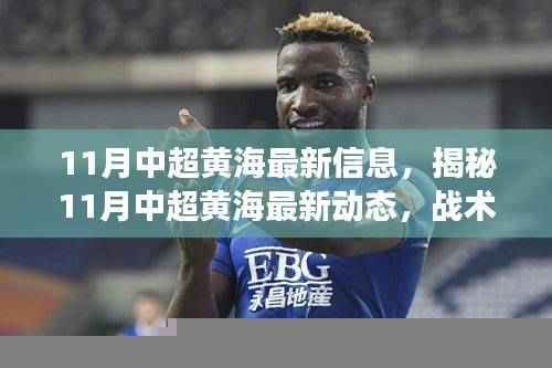 揭秘,中超黄海最新动态与战术调整,球员动态及未来展望(11月最新信息)