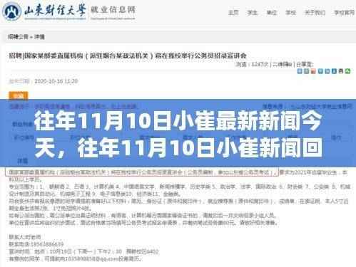 往年11月10日小崔新闻回顾与焦点解析,今日焦点一览