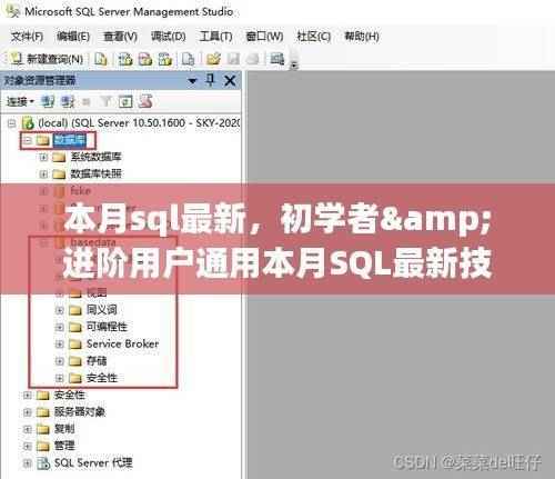 本月SQL最新技能学习,初学者与进阶用户的通用指南
