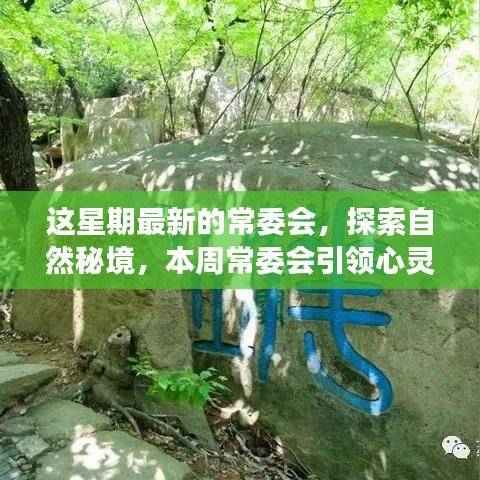 常委会引领心灵探索自然秘境之旅,启程寻找内心平静之路