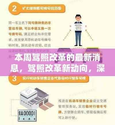 本周驾照改革深度解析与观点碰撞,最新动态与动向探讨