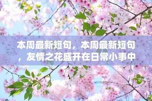 日常小事中的友情之花盛开,本周最新短句汇总