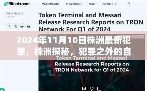 株洲探秘,犯罪背后的自然美景之旅(2024年11月10日最新报道)