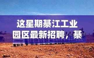 綦江工业园区最新招聘深度解析,特性、体验、竞品对比及用户群体分析报告