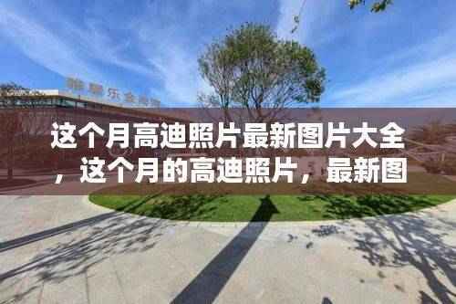 高迪照片最新图片大全与独家案例分析,本月精选图片集