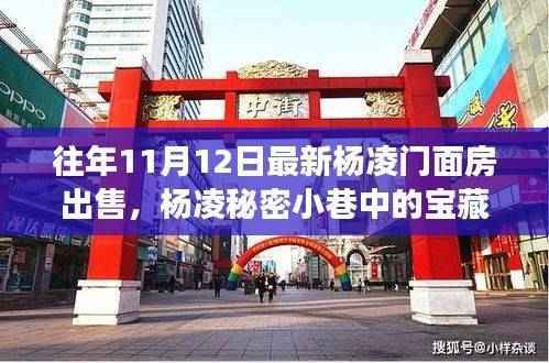 杨凌门面房探秘,小巷宝藏与美食魅力之旅