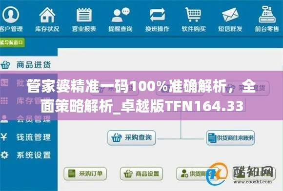 管家婆精准一码100%准确解析,全面策略解析_卓越版TFN164.33