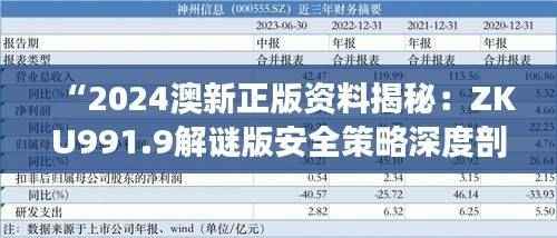 “2024澳新正版资料揭秘:ZKU991.9解谜版安全策略深度剖析”