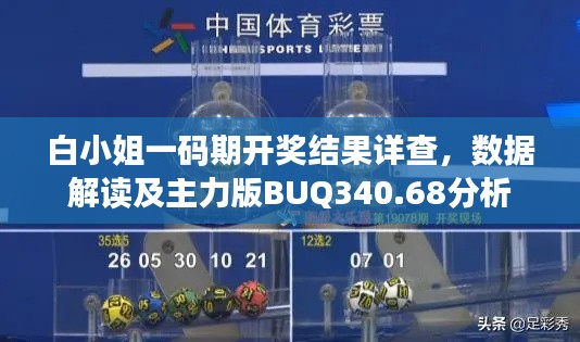 白小姐一码期开奖结果详查,数据解读及主力版BUQ340.68分析