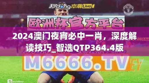 2024澳门夜宵必中一肖,深度解读技巧_智选QTP364.4版