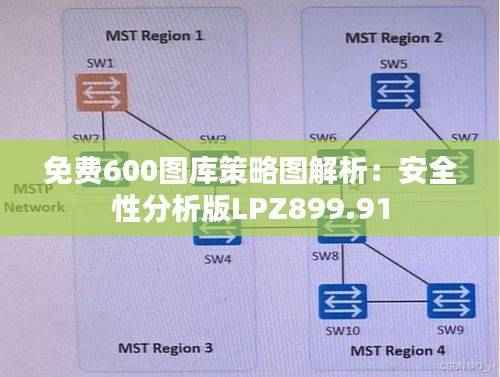 免费600图库策略图解析:安全性分析版LPZ899.91