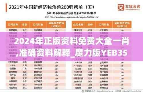 2024年正版资料免费大全一肖,准确资料解释_魔力版YEB355.45
