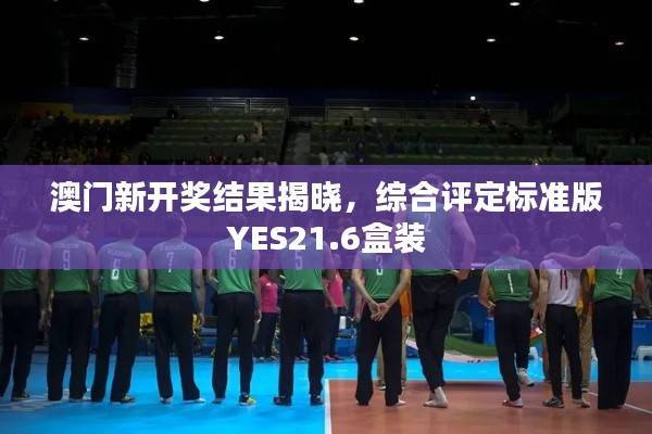 澳门新开奖结果揭晓,综合评定标准版YES21.6盒装