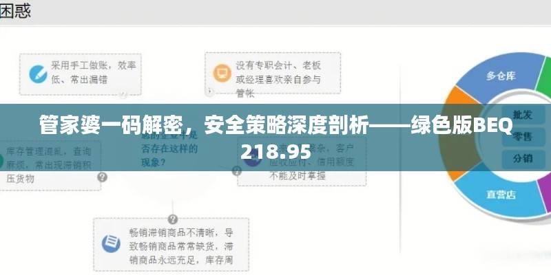管家婆一码解密,安全策略深度剖析——绿色版BEQ218.95