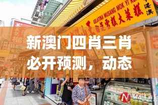 新澳门四肖三肖必开预测,动态词汇深度解读_预览版ZSD677.33