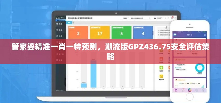 管家婆精准一肖一特预测,潮流版GPZ436.75安全评估策略