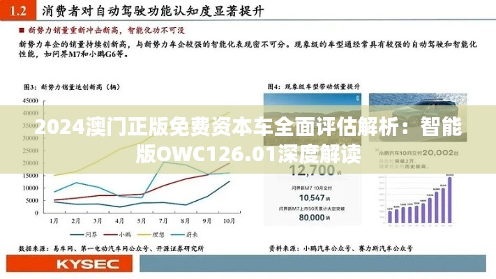 2024澳门正版免费资本车全面评估解析:智能版OWC126.01深度解读