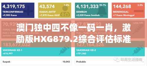 澳门独中四不像一码一肖,激励版HXG879.2综合评估标准