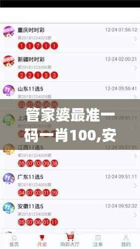 管家婆最准一码一肖100,安全解析方案_仙武境VZU790.38