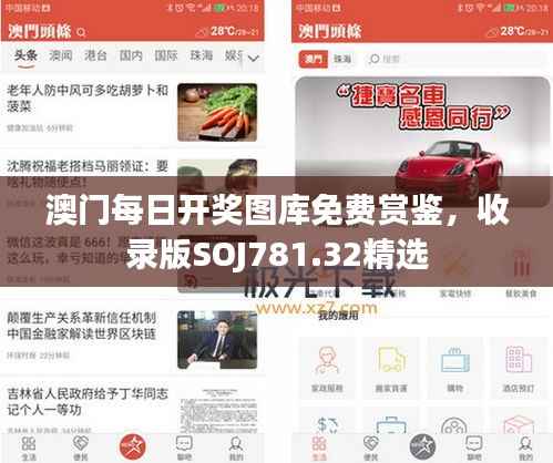 澳门每日开奖图库免费赏鉴,收录版SOJ781.32精选