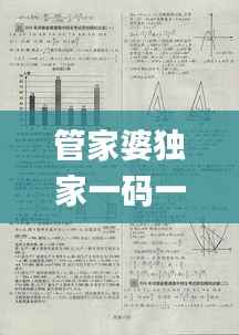 管家婆独家一码一肖资料汇编,精准解密一语中特,素材方案详解_魔力升级版OVY67.32