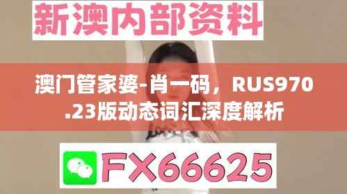 澳门管家婆-肖一码,RUS970.23版动态词汇深度解析
