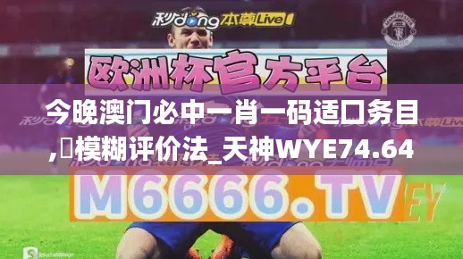 今晚澳门必中一肖一码适囗务目,模糊评价法_天神WYE74.64