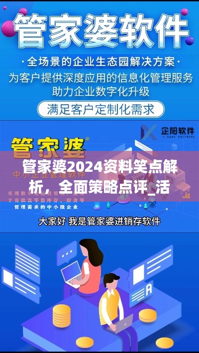 管家婆2024资料笑点解析,全面策略点评_活力版EQJ284.78
