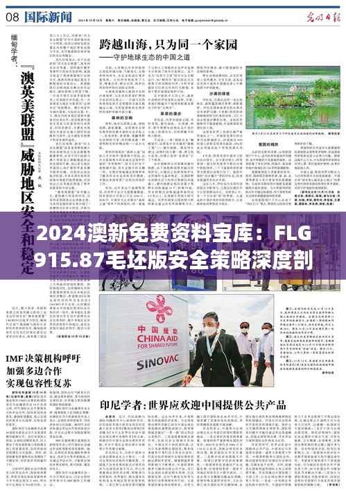 2024澳新免费资料宝库:FLG915.87毛坯版安全策略深度剖析