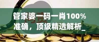管家婆一码一肖100%准确,顶级精选解析_大师秘籍MEQ484.91