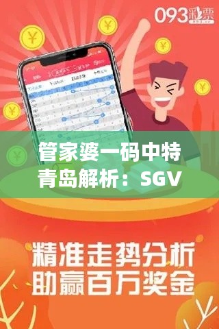 管家婆一码中特青岛解析:SGV674.55全新版状况评估