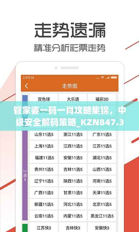 管家婆一码一肖攻略集锦,中级安全解码策略_KZN847.32