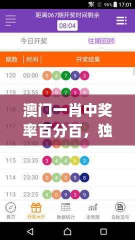 澳门一肖中奖率百分百,独享策略秘籍_XJV335.33特供版