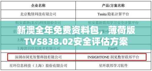 新澳全年免费资料包,薄荷版TVS838.02安全评估方案