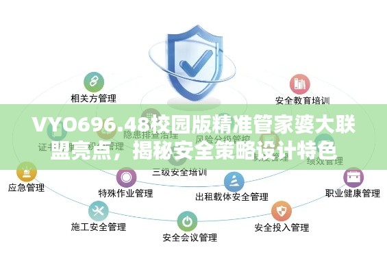 VYO696.48校园版精准管家婆大联盟亮点,揭秘安全策略设计特色