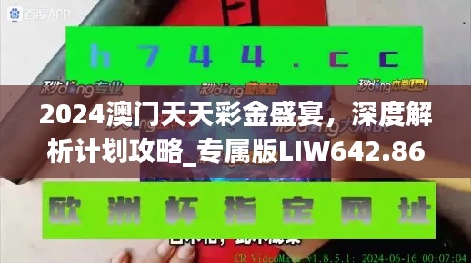 2024澳门天天彩金盛宴,深度解析计划攻略_专属版LIW642.86