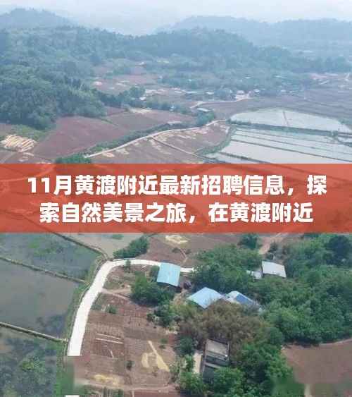 黄渡地区最新招聘与自然美景探索,工作求职与心灵宁静的双重寻觅