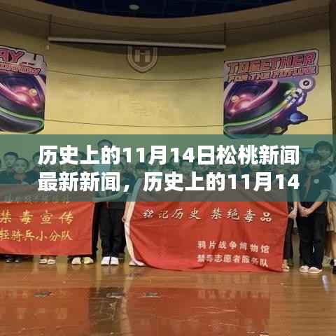 历史上的11月14日松桃新闻回顾,揭秘值得铭记的瞬间