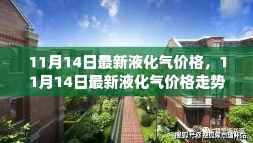 11月14日液化气价格走势分析,市场洞察与前瞻