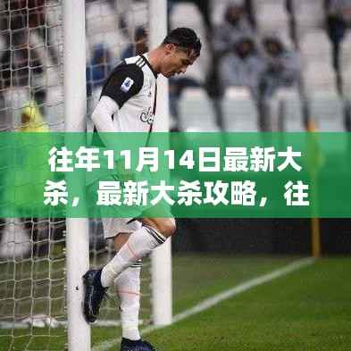 往年11月14日最新大杀攻略与实战步骤指南