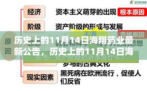 历史上的11月14日海翔药业最新公告及其解读与操作指南