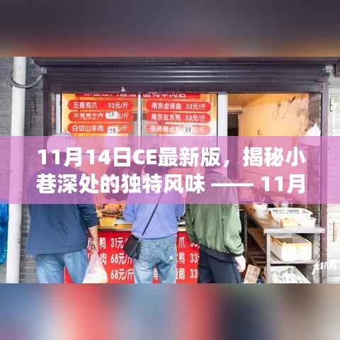 11月14日CE最新版,小巷深处的独特风味探秘