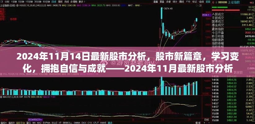 2024年11月股市新篇章,洞悉市场变化,拥抱自信与成就分析报告