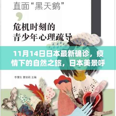 日本疫情下的自然之旅,美景呼唤心灵之旅的最新确诊报告